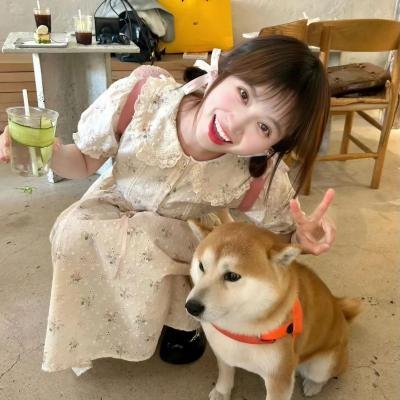 来自风平浪静的明天